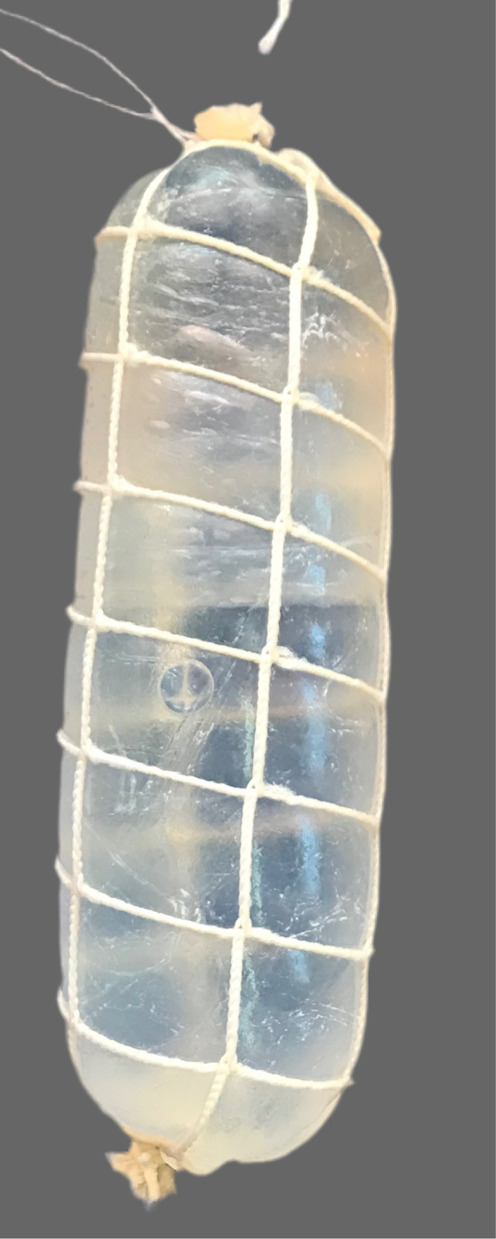 SalamiNet Kaliber (weisses Netz)