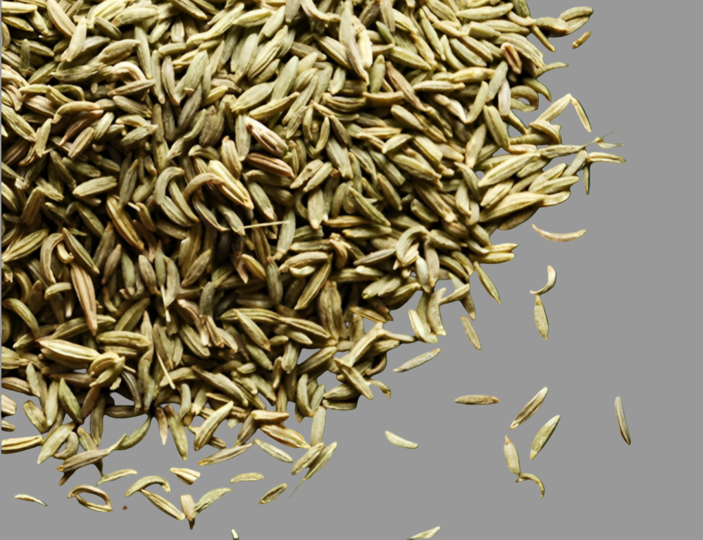 Wilde Fenchelsamen Spezial