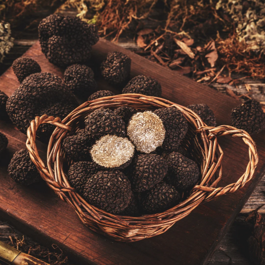 Aroma Trüffel Premium SalamiTec AG